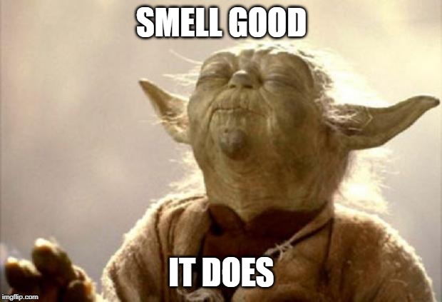 yoda smell | SMELL GOOD IT DOES | image tagged in yoda smell | made w/ Imgflip meme maker
