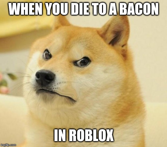 Mad doge | WHEN YOU DIE TO A BACON; IN ROBLOX | image tagged in mad doge | made w/ Imgflip meme maker
