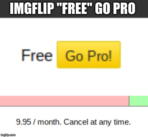 IMGFLIP "FREE" GO PRO | image tagged in funny,imgflip humor,totally free | made w/ Imgflip meme maker