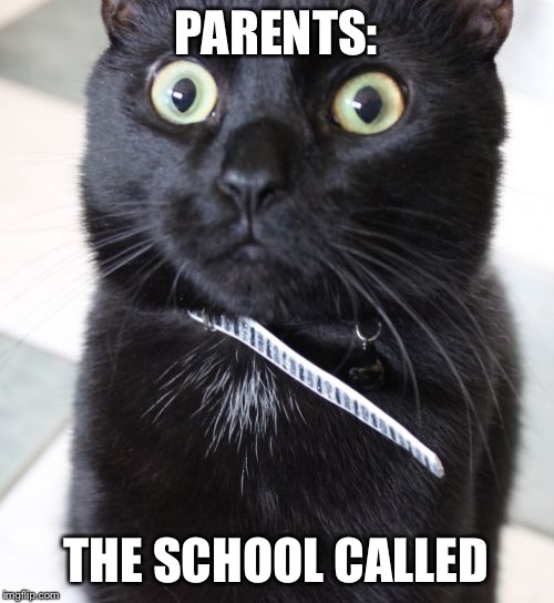 Woah Kitty |  PARENTS:; THE SCHOOL CALLED | image tagged in memes,woah kitty | made w/ Imgflip meme maker