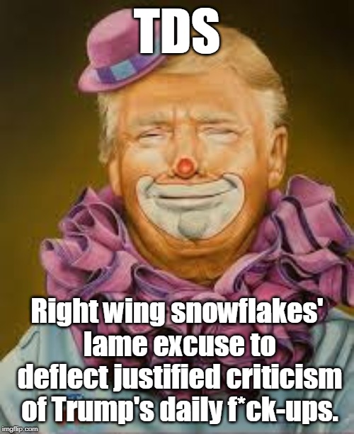 TDS | TDS; Right wing snowflakes' lame excuse to deflect justified criticism of Trump's daily f*ck-ups. | image tagged in trump clown,tds,trump,excuse,alibi | made w/ Imgflip meme maker
