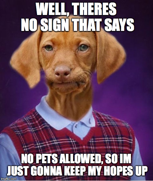 Bad Luck Dog | WELL, THERES NO SIGN THAT SAYS NO PETS ALLOWED, SO IM JUST GONNA KEEP MY HOPES UP | image tagged in bad luck dog | made w/ Imgflip meme maker