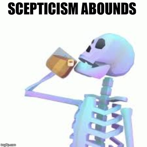 SCEPTICISM ABOUNDS | made w/ Imgflip meme maker