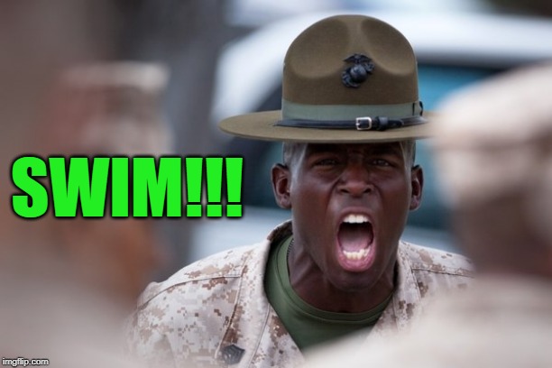 sergeant yelling | SWIM!!! | image tagged in sergeant yelling | made w/ Imgflip meme maker