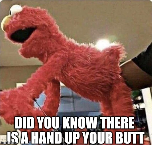 elmo | DID YOU KNOW THERE IS A HAND UP YOUR BUTT | image tagged in elmo | made w/ Imgflip meme maker