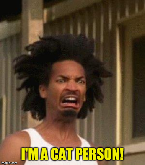 Disgusted Face | I'M A CAT PERSON! | image tagged in disgusted face | made w/ Imgflip meme maker