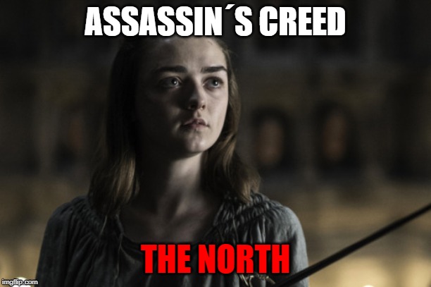 A girl is Arya Stark | ASSASSIN´S CREED; THE NORTH | image tagged in a girl is arya stark | made w/ Imgflip meme maker