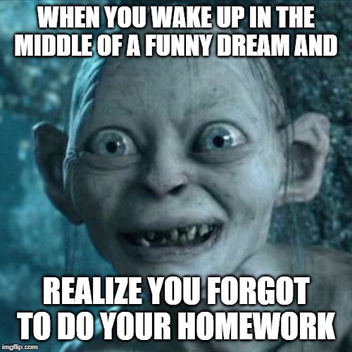 Gollum | WHEN YOU WAKE UP IN THE MIDDLE OF A FUNNY DREAM AND; REALIZE YOU FORGOT TO DO YOUR HOMEWORK | image tagged in memes,gollum | made w/ Imgflip meme maker