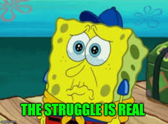 Spongebob cry | THE STRUGGLE IS REAL | image tagged in spongebob cry | made w/ Imgflip meme maker