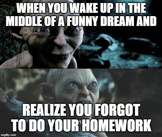 Gollum schizophrenia | WHEN YOU WAKE UP IN THE MIDDLE OF A FUNNY DREAM AND; REALIZE YOU FORGOT TO DO YOUR HOMEWORK | image tagged in gollum schizophrenia | made w/ Imgflip meme maker