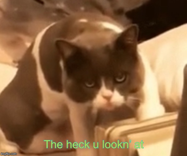 The heck u lookn’ at | made w/ Imgflip meme maker