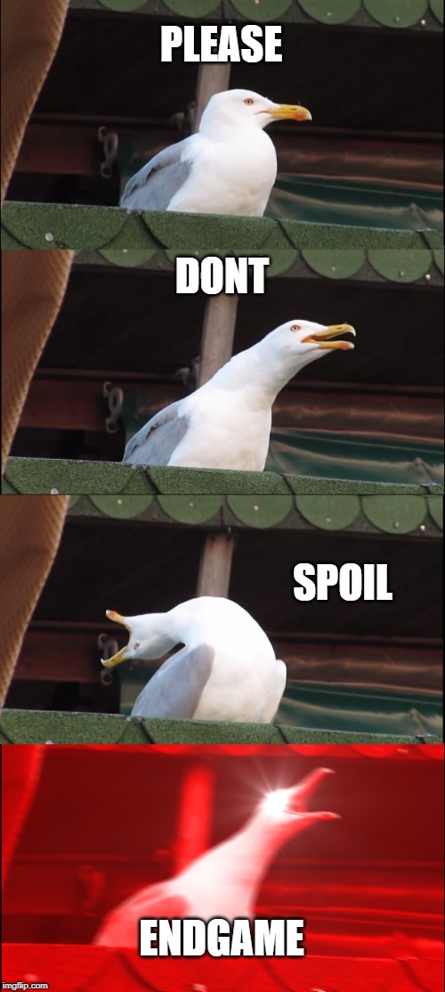 Inhaling Seagull Meme | PLEASE; DONT; SPOIL; ENDGAME | image tagged in memes,inhaling seagull | made w/ Imgflip meme maker