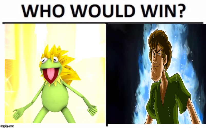 Who Would Win? Meme | image tagged in memes,who would win | made w/ Imgflip meme maker