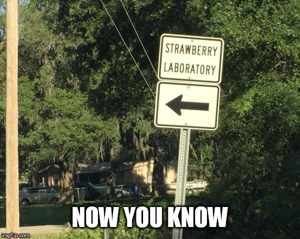 now you know | NOW YOU KNOW | image tagged in now you know | made w/ Imgflip meme maker