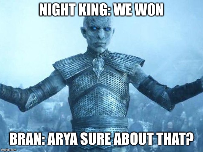 Arya | NIGHT KING: WE WON; BRAN: ARYA SURE ABOUT THAT? | image tagged in game of thrones arya | made w/ Imgflip meme maker