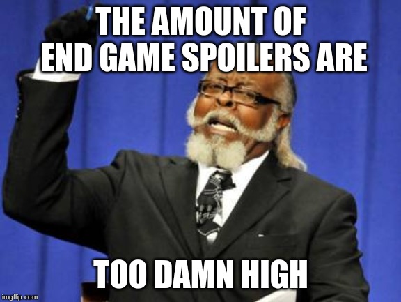 BTW I'm not watching the super hero movies, or End Game or whatever so whatever. . . | THE AMOUNT OF END GAME SPOILERS ARE; TOO DAMN HIGH | image tagged in memes,too damn high | made w/ Imgflip meme maker
