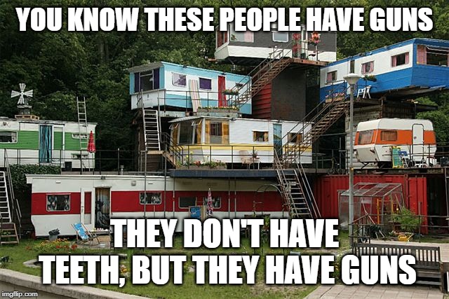 In a stream, Octavia_melody asked "How would you know a home had guns?"  THis was my answer to him. | YOU KNOW THESE PEOPLE HAVE GUNS; THEY DON'T HAVE TEETH, BUT THEY HAVE GUNS | image tagged in firearms,rednecks,no teeth,octavia_melody,crime | made w/ Imgflip meme maker