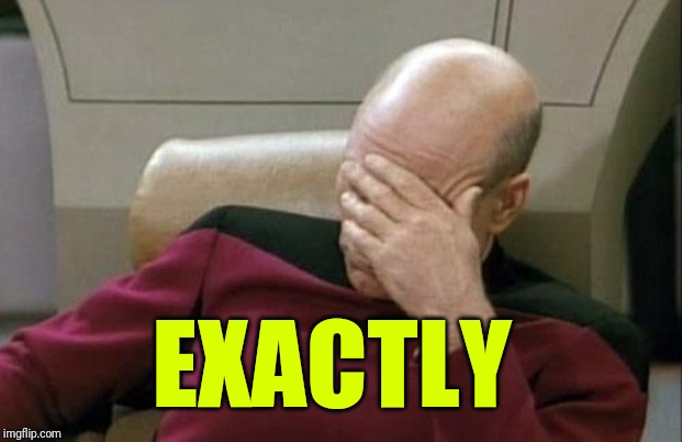 Captain Picard Facepalm Meme | EXACTLY | image tagged in memes,captain picard facepalm | made w/ Imgflip meme maker