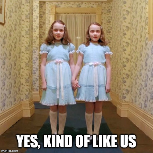 Twins from The Shining | YES, KIND OF LIKE US | image tagged in twins from the shining | made w/ Imgflip meme maker