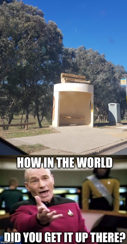 my local bus stop just got an upgrade | HOW IN THE WORLD; DID YOU GET IT UP THERE? | image tagged in memes,picard wtf,dank memes,bus stop,bus,meanwhile in australia | made w/ Imgflip meme maker