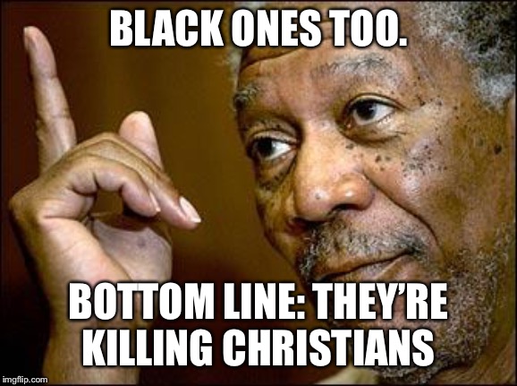 This Morgan Freeman | BLACK ONES TOO. BOTTOM LINE: THEY’RE KILLING CHRISTIANS | image tagged in this morgan freeman | made w/ Imgflip meme maker