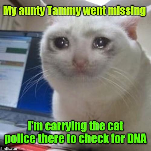 Sad cat tears | My aunty Tammy went missing I'm carrying the cat police there to check for DNA | image tagged in sad cat tears | made w/ Imgflip meme maker