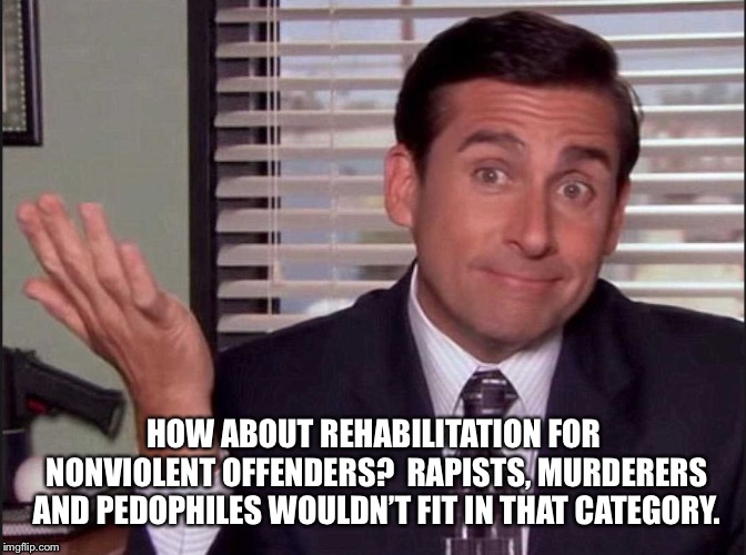 Michael Scott | HOW ABOUT REHABILITATION FOR NONVIOLENT OFFENDERS?  RAPISTS, MURDERERS AND PEDOPHILES WOULDN’T FIT IN THAT CATEGORY. | image tagged in michael scott | made w/ Imgflip meme maker