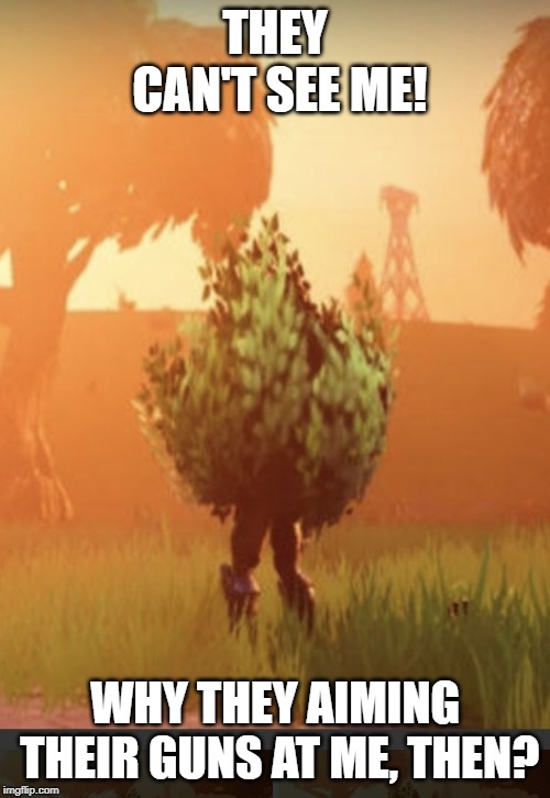 Fortnite bush | THEY CAN'T SEE ME! WHY THEY AIMING THEIR GUNS AT ME, THEN? | image tagged in fortnite bush | made w/ Imgflip meme maker