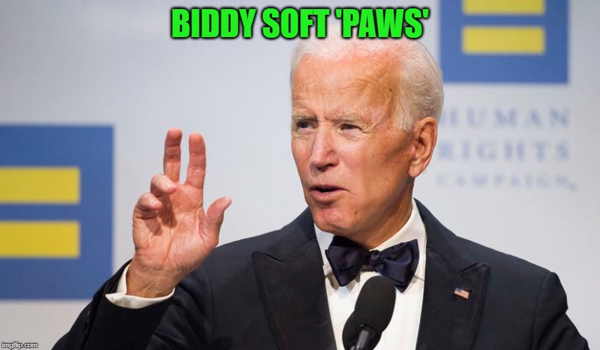 BIDDY SOFT 'PAWS' | made w/ Imgflip meme maker