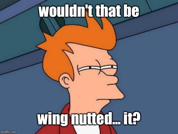 Futurama Fry Meme | wouldn't that be wing nutted... it? | image tagged in memes,futurama fry | made w/ Imgflip meme maker