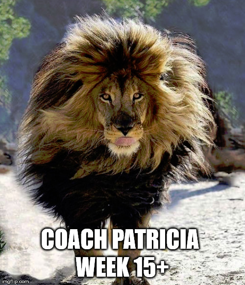 Detroit Lions Coach Patricia | WEEK 15+; COACH PATRICIA | image tagged in detroit lions,matt patricia | made w/ Imgflip meme maker