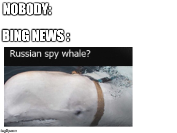 bing...yu no google? | NOBODY:; BING NEWS : | image tagged in bing,google,whale,in soviet russia,dank memes,memes | made w/ Imgflip meme maker