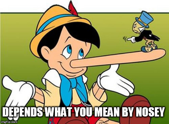 what's  Nosey  mean? | DEPENDS WHAT YOU MEAN BY NOSEY | image tagged in pinnochio,jiminy cricket  big  nose,giant | made w/ Imgflip meme maker