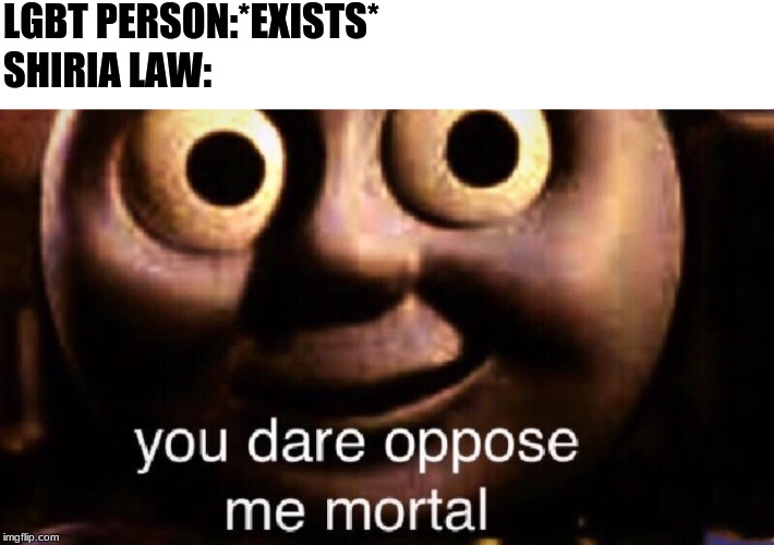 You dare oppose me mortal | LGBT PERSON:*EXISTS*; SHIRIA LAW: | image tagged in you dare oppose me mortal | made w/ Imgflip meme maker