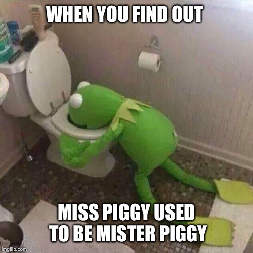 WHEN YOU FIND OUT; MISS PIGGY USED TO BE MISTER PIGGY | image tagged in kermit the frog,anonymous,throwing up,vomit,nauseous | made w/ Imgflip meme maker