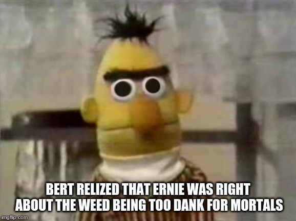 Bert Stare | BERT RELIZED THAT ERNIE WAS RIGHT ABOUT THE WEED BEING TOO DANK FOR MORTALS | image tagged in bert stare | made w/ Imgflip meme maker