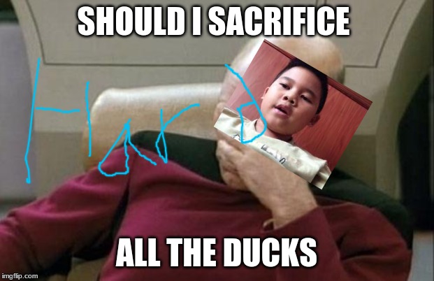 should voreak kill all the ducks | SHOULD I SACRIFICE; ALL THE DUCKS | image tagged in memes,captain picard facepalm | made w/ Imgflip meme maker