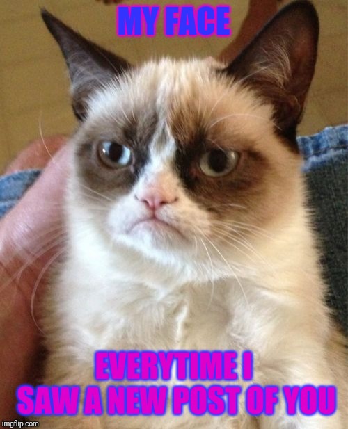 Grumpy Cat | MY FACE; EVERYTIME I SAW A NEW POST OF YOU | image tagged in memes,grumpy cat | made w/ Imgflip meme maker