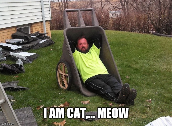 I AM CAT,... MEOW | made w/ Imgflip meme maker