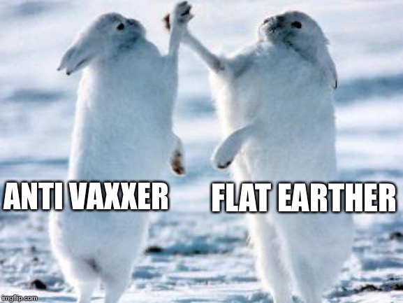 Best friends | FLAT EARTHER; ANTI VAXXER | image tagged in best friends | made w/ Imgflip meme maker