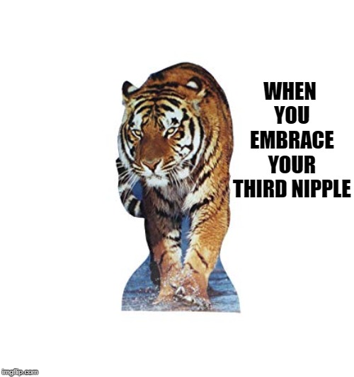 rerouting | WHEN YOU EMBRACE YOUR THIRD NIPPLE | image tagged in rerouting | made w/ Imgflip meme maker