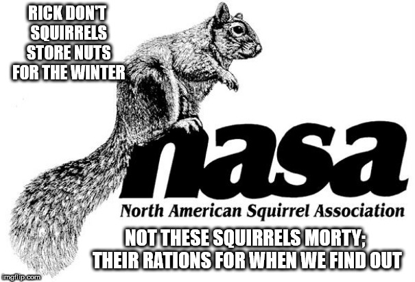 Be weary false prophets talking peace, but I come with "gun ports open"~Minbari | RICK DON'T SQUIRRELS STORE NUTS FOR THE WINTER; NOT THESE SQUIRRELS MORTY; THEIR RATIONS FOR WHEN WE FIND OUT | image tagged in international relations,binary mechanics work,unify all the things | made w/ Imgflip meme maker
