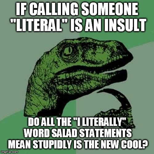 Philosoraptor Meme | IF CALLING SOMEONE "LITERAL" IS AN INSULT; DO ALL THE "I LITERALLY" WORD SALAD STATEMENTS MEAN STUPIDLY IS THE NEW COOL? | image tagged in memes,philosoraptor | made w/ Imgflip meme maker
