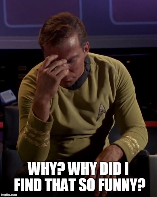 Kirk face palm | WHY? WHY DID I FIND THAT SO FUNNY? | image tagged in kirk face palm | made w/ Imgflip meme maker