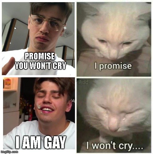 I promise I won't cry | PROMISE YOU WON'T CRY; I AM GAY | image tagged in i promise i won't cry,Papaplatte | made w/ Imgflip meme maker