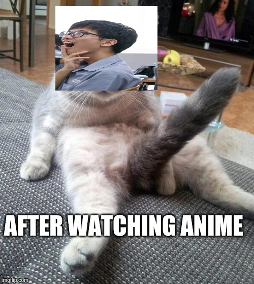 Sexy Cat | AFTER WATCHING ANIME | image tagged in memes,sexy cat | made w/ Imgflip meme maker