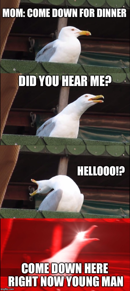 Inhaling Seagull | MOM: COME DOWN FOR DINNER; DID YOU HEAR ME? HELLOOO!? COME DOWN HERE RIGHT NOW YOUNG MAN | image tagged in memes,inhaling seagull | made w/ Imgflip meme maker