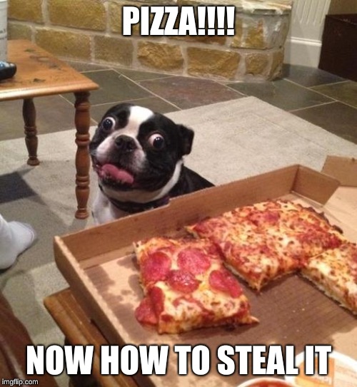 Hungry Pizza Dog | PIZZA!!!! NOW HOW TO STEAL IT | image tagged in hungry pizza dog | made w/ Imgflip meme maker