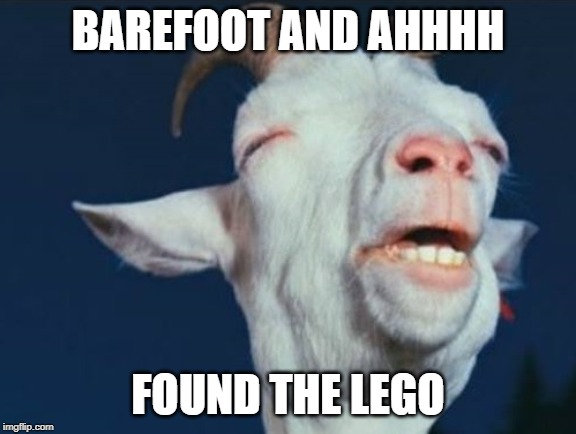 foundpain | BAREFOOT AND AHHHH; FOUND THE LEGO | image tagged in foundpain | made w/ Imgflip meme maker