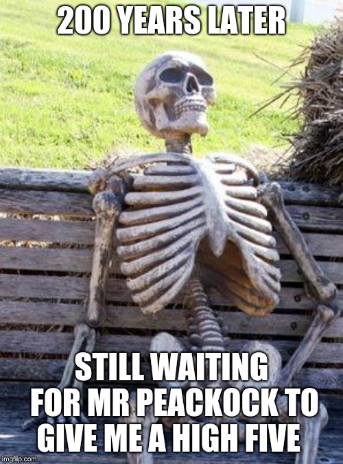 Waiting Skeleton Meme | 200 YEARS LATER; STILL WAITING FOR MR PEACKOCK TO GIVE ME A HIGH FIVE | image tagged in memes,waiting skeleton | made w/ Imgflip meme maker